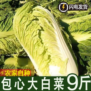 �r��������ײ˰��Ĳ��r�����r��ˬ�ڴ�ײ˟��˻�������r