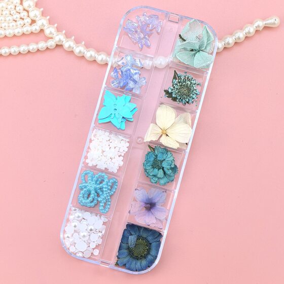 Little Daisy Dried Flower Sticker Face Petal Face Sticker Photo Nail Art Jewelry Makeup Stage Butterfly Sticker Diamond Pearl