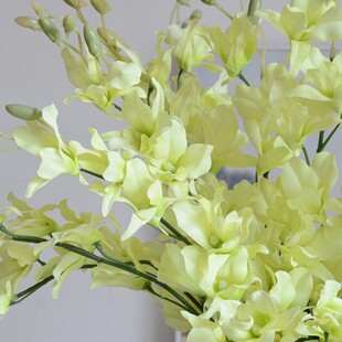 ���m �����mʯ���m�m����c��ˇ���ٻ��b�������