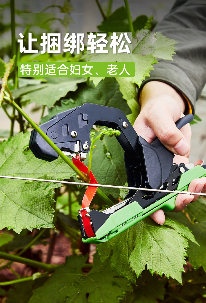 O1CN01l1hHFN1bIU5JUNfux_!!9402