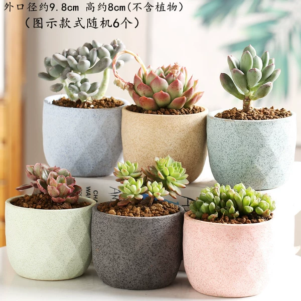 6 large star network color glaze combination 6