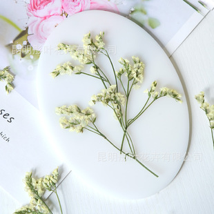 ˮ����С�ɻ�����diy���ϰ����lֲ��˱�Ѻ���滨�羳pressed