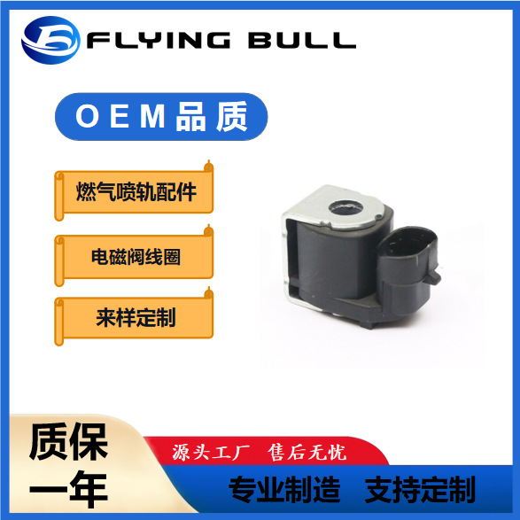 CNG燃气喷轨配件线圈油改气天然气改装喷轨普通喷轨电磁阀热卖