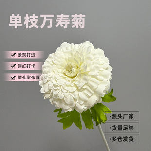 �����֦�f�۾տ͏d�b��Ĕz���߲����[�O¶ɏ��ins�L���滨����