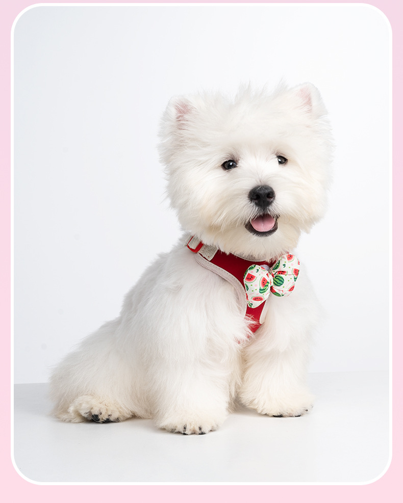 Dog Harness With Interchangeable Bow Tie For Small Dogs Outdoor_voghion.com
