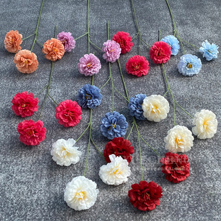 ��c��ˇ����ľ�Ȼ����滨��Y���Ĳ廨·������[�������������T