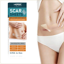 �羳HORSE BEAUTY��ճ��Ƥ�w�N �����z�[���N ��ˮ����o�����o�N