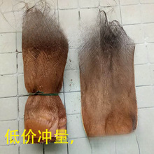 棕树皮棕衣棕毛棕榈衣棕丝棕片棕皮装饰绿萝棒椰棕棒茅屋用垒德株
