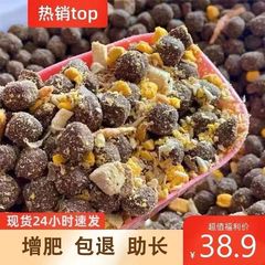ドッグフード 大粒ミートボールフード 0.5kg 肥育・美髪・カルシウム補給 10斤 20斤 20kg 成犬・子犬用卸売大袋