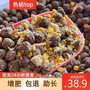 Dog Food Large Pellets Meat Ball Food 0.5kg for Weight Gain, Coat Beautification, and Calcium Supplement 10 Lbs 20 Lbs 20kg Wholesale Large Bags for Adult Dogs and Puppies