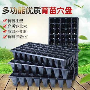 Ѩ�P����P��ľ�߲��������P��������Ѩ��������lѿ�Nֲ���N����