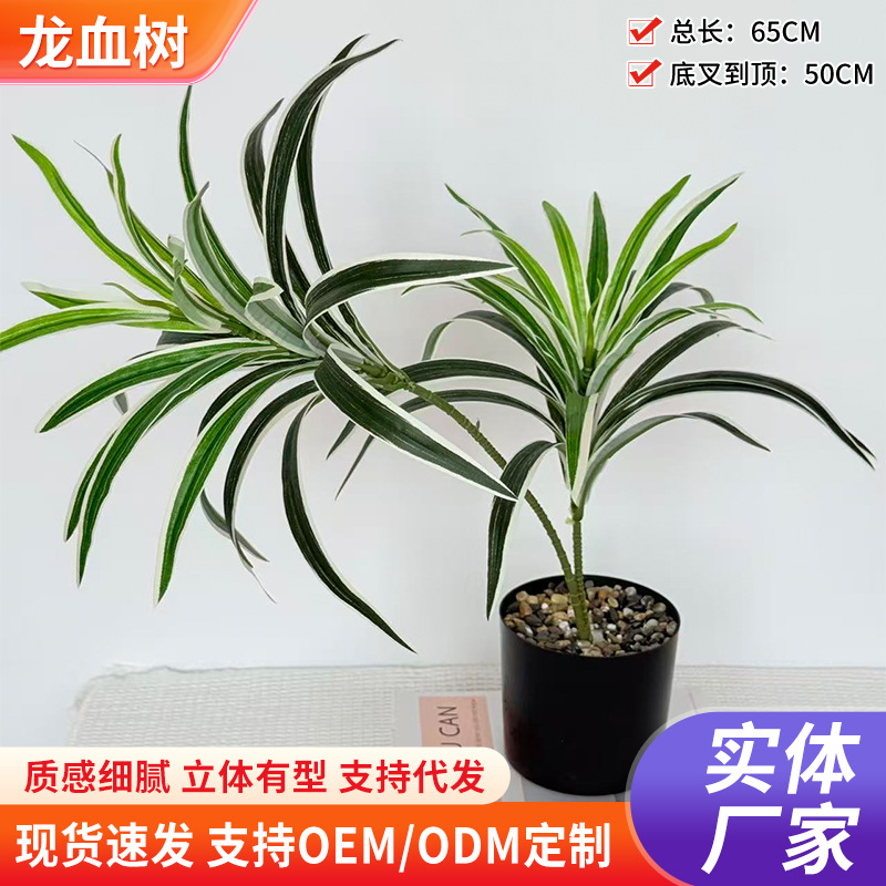 仿真龙血树北欧龙血铁树桌面绿植盆栽家居橱窗装饰仿真绿植装饰