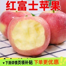 ����t��ʿ�O�����rˮ���t��ʿ�����������������O�����]