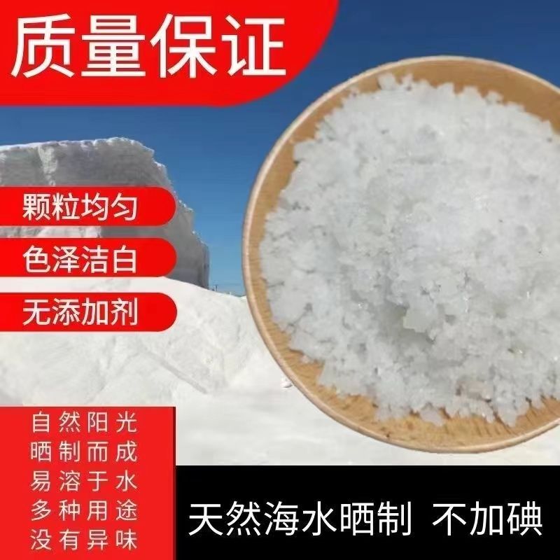 j8粗盐软水养殖日晒锅炉锦盐冰鲤鱼池海盐工业盐水产增稠化日化g3