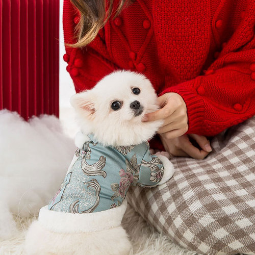 Plate buckle Tang suit puppy cotton clothes thick New Year festive autumn and winter clothes Teddy cat pet winter warm winter