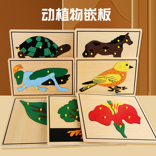 ���������ץ��ֲ��Ƕ����߃�ͯ����ƴ�D0-3�q������̨�����̾�