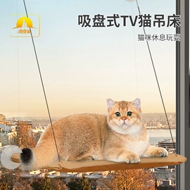 猫猫玩具;狗狗玩具;狗狗食具