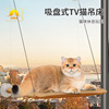 Товары от 义乌淘淘宠物