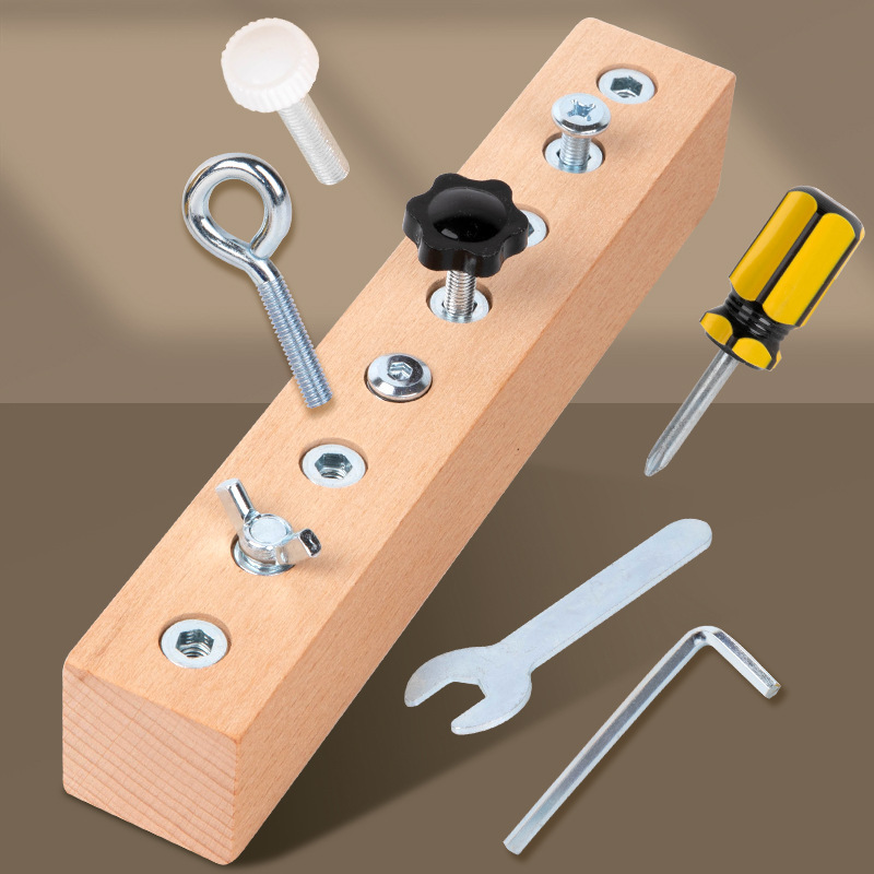 Montessori Early Education Small and Medium Class Daily Life Area Materials Teaching Aids Kidsren's Screw Early Education Educational Unlocking Toys