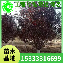 ���l���~��t�~�����ͥԺ�@�־G�����������L����Ҏ��ȫ���~����