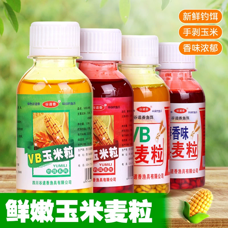 谷道香 Corn wheat kernel series fishing and fishing medicine black pit wild fishing reservoir grass carp carp nest material bait