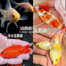 �^�p�~���~���~��ˮ�~��ˮ�~�B�����ͻ�����~С�~����Bˮ���~