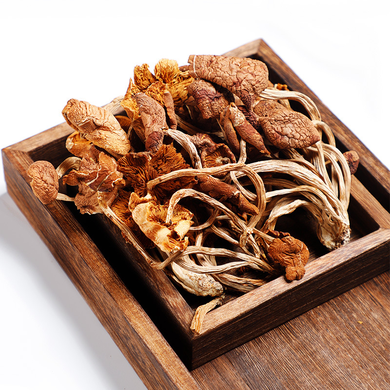 Tea tree mushrooms dry goods mushrooms edible fungi new goods bulk bags wholesale unopened tea tree mushroom bags source factory