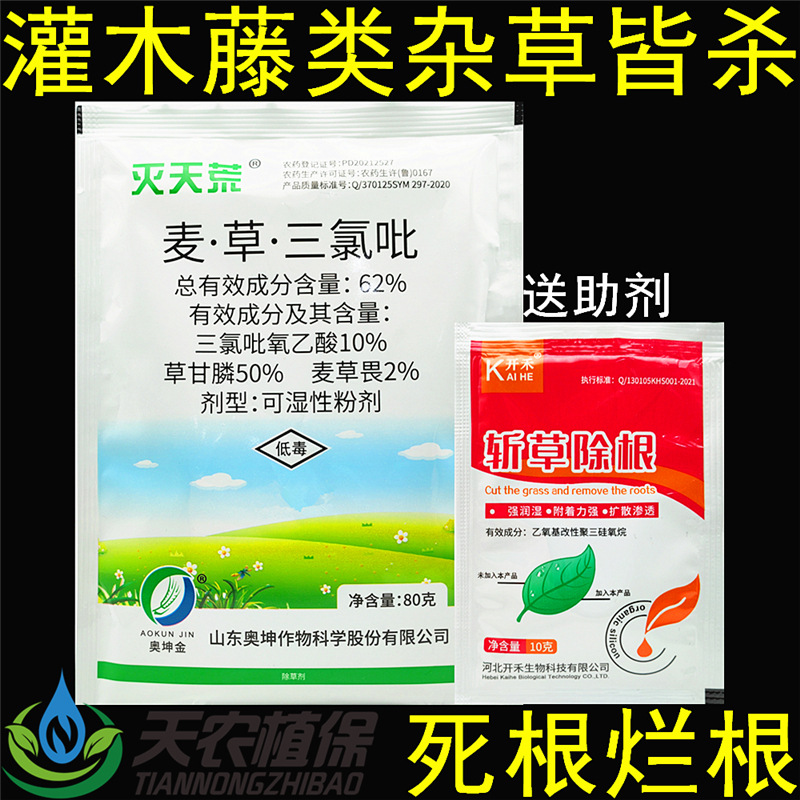 灭天荒62%麦草畏草甘膦三氯吡氧乙酸杂草藤屠灌木开荒烂根除草剂