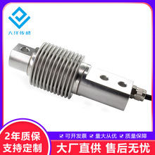 DYBW-106波纹管式称重传感器 皮带秤 称重系统传感器