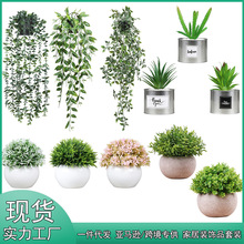 现货亚马逊仿真植物盆栽套装组合家居装饰品桌面仿真绿植人造盆景