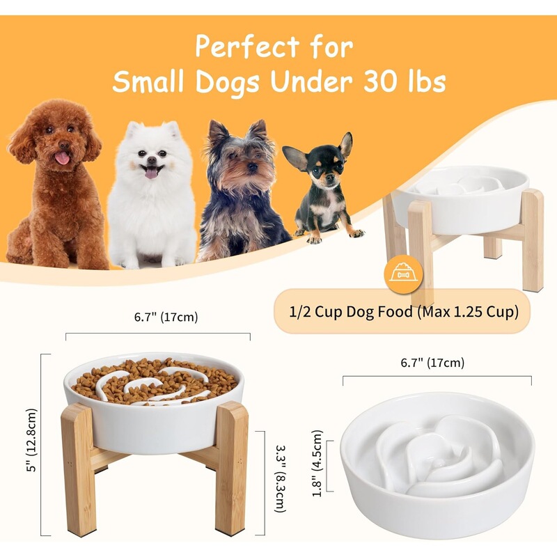Elevated Ceramic Cat Bowl Set of 2, Extra Wide, Anti-Fatigue, Shallow Food and Water Dish, Lead-Free, Green, Pink, Orange Elevated Ceramic Cat Bowl Set of 2, Extra Wide, Anti-Fatigue, Shallow Food and Water Dish, Lead-Free, Green, Pink, Orange