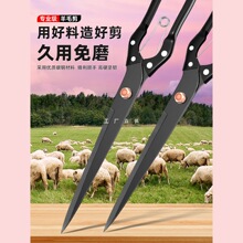 ��ë�����քӼ���ë�ļ�����ë���ü����ߏ����ù�ë������ë��