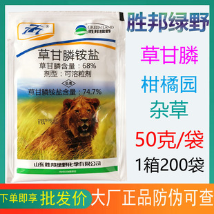 68%�ݸ�좄ٰ�GҰ�ݸ��ײݸ����@�}�w���������������@�s���݄�