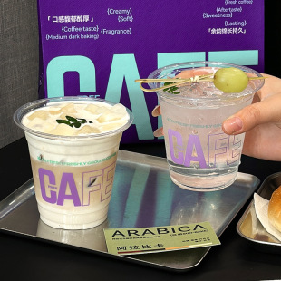 New Disposable Coffee Cup Plastic Transparent Pet Cold Drink Juice Milk Tea Dessert Packaging Cup with Lid for Commercial Use