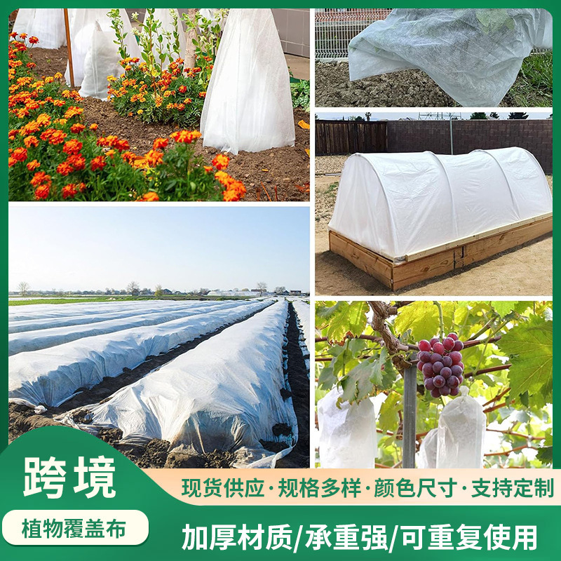 クロスボーダー Amazon 秋冬植物霜よけおよび不凍液植物カバー ホワイト 30g 不織布植物カバーブランケット|undefined