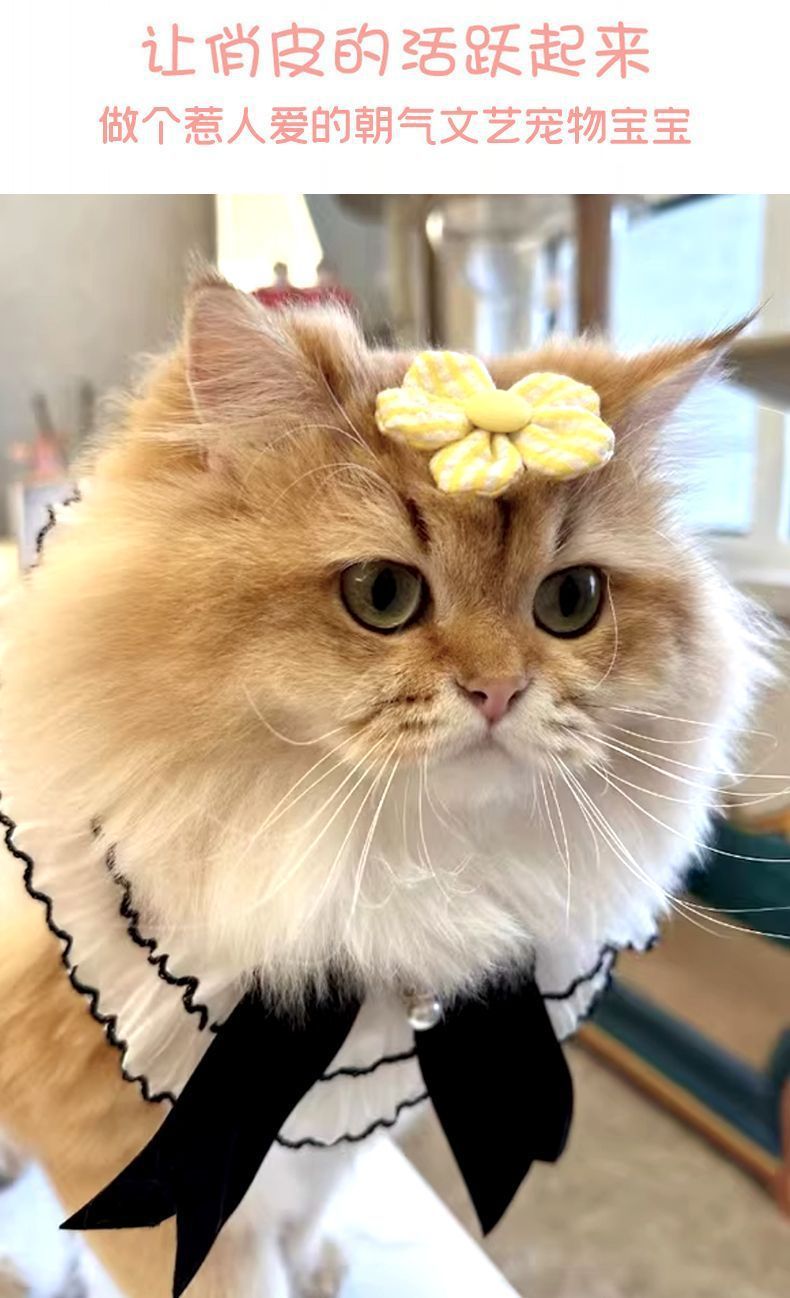 8fa534c8-17af-486e-81ba-55438b692faa.jpe