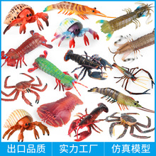 儿童海洋仿真动物模型帝王蟹罗氏虾琵琶虾皮皮虾寄居蟹波士顿龙虾