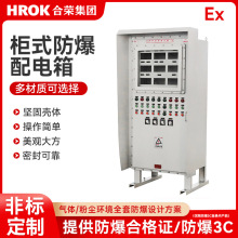 防爆动力配电柜配电箱控制箱来图免费设计非标可定IP65防护