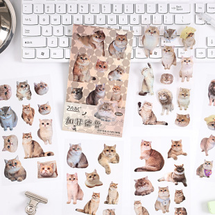 ���ǁ��͸����ˮpet�N��diy���~��ӛ�b��زĿ�ͨ؈������ľ��N