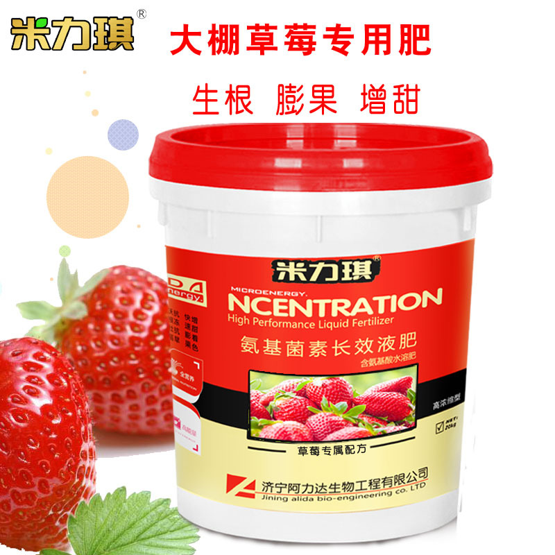 米力琪 草莓专用肥  膨果增甜增产 ti鱼蛋白水溶肥  碳能液体肥