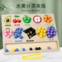 分类颜色训练幼儿园玩具