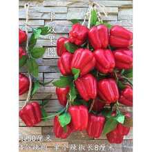 �t���������״��⻨���߲�ˮ���r�Ҙ��ͥԺģ���b�Ʒ�촮