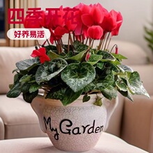 �ɿ́����Ի����ö����ļ��_�����B���̨�҃Ȼ������������»�