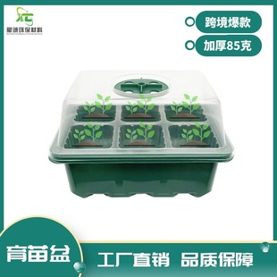 6-hole plastic seedling box three-piece seedling tray fleshy Sowing leaf insert box insulation seedling tray direct supply seedling Basin