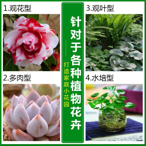 Dewoduo plant nutrient solution fertilizer potted hydroponic succulent green plant flowers and fruits rooting liquid fertilizer