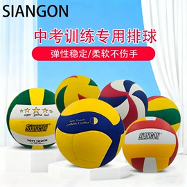 篮球;足球;排球