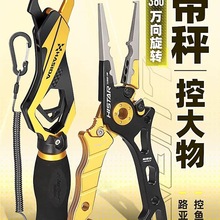 ·���Q���ӿ��~�����b���Lʧ���K�๦���ձ�·����~���b��