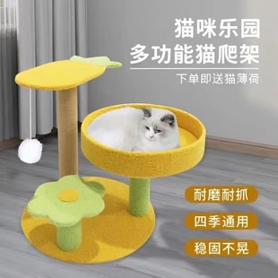 �S�ҹ������}؈����؈��ë�qһ�wʽ؈�C؈����؈ץ��