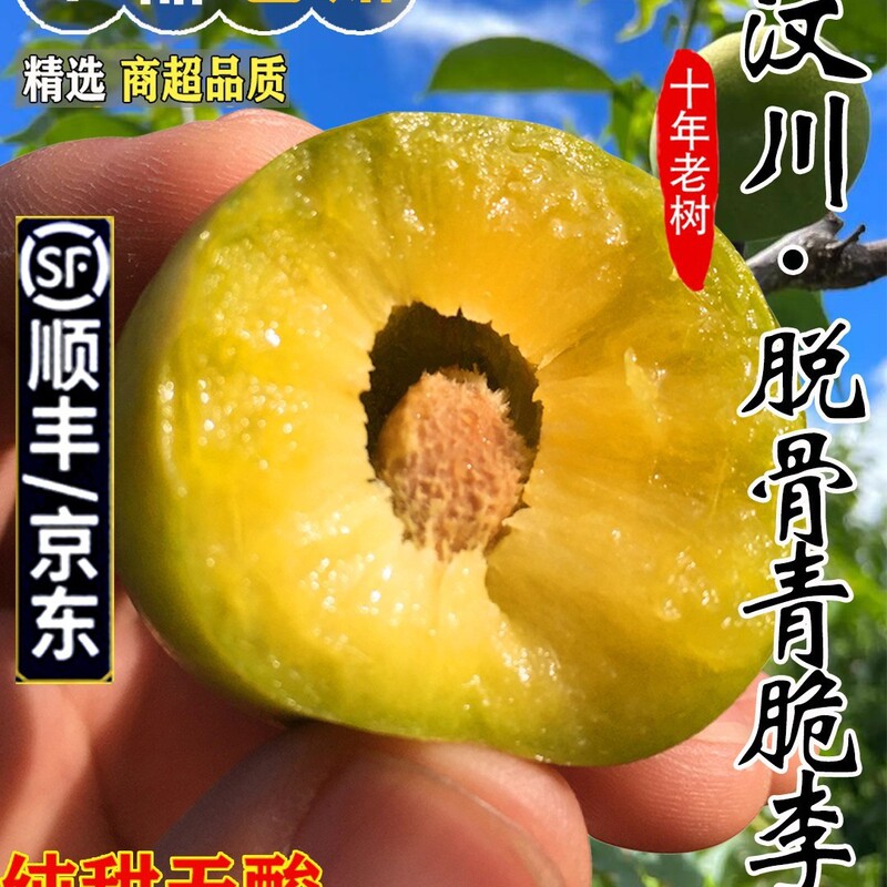 Fresh Fruit from Wenchuan, Sichuan: Crisp and Sweet Plums, Boneless Plums, Candied Plums, Suitable for Pregnant Women, 2.5kg Pieces, Free Shipping with Sf Express
