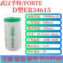 武汉孚特er34615锂亚电池水电表PLC控设备容量型一次物联网锂电池